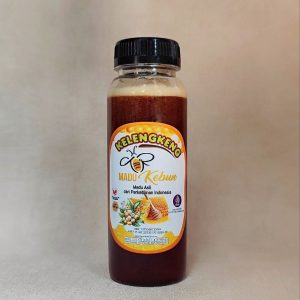 photo_2025-09-17_09-18-20